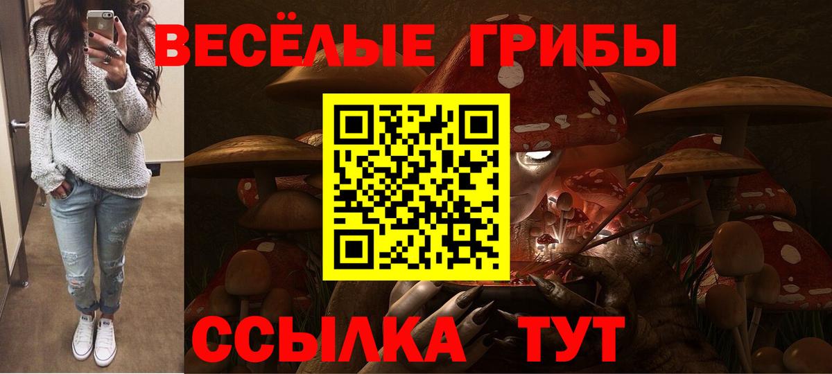 Галлюциногенные грибы Psilocybe  Псилоцибиновые грибы Magic Shrooms  Вход с VPN  Апшеронск 